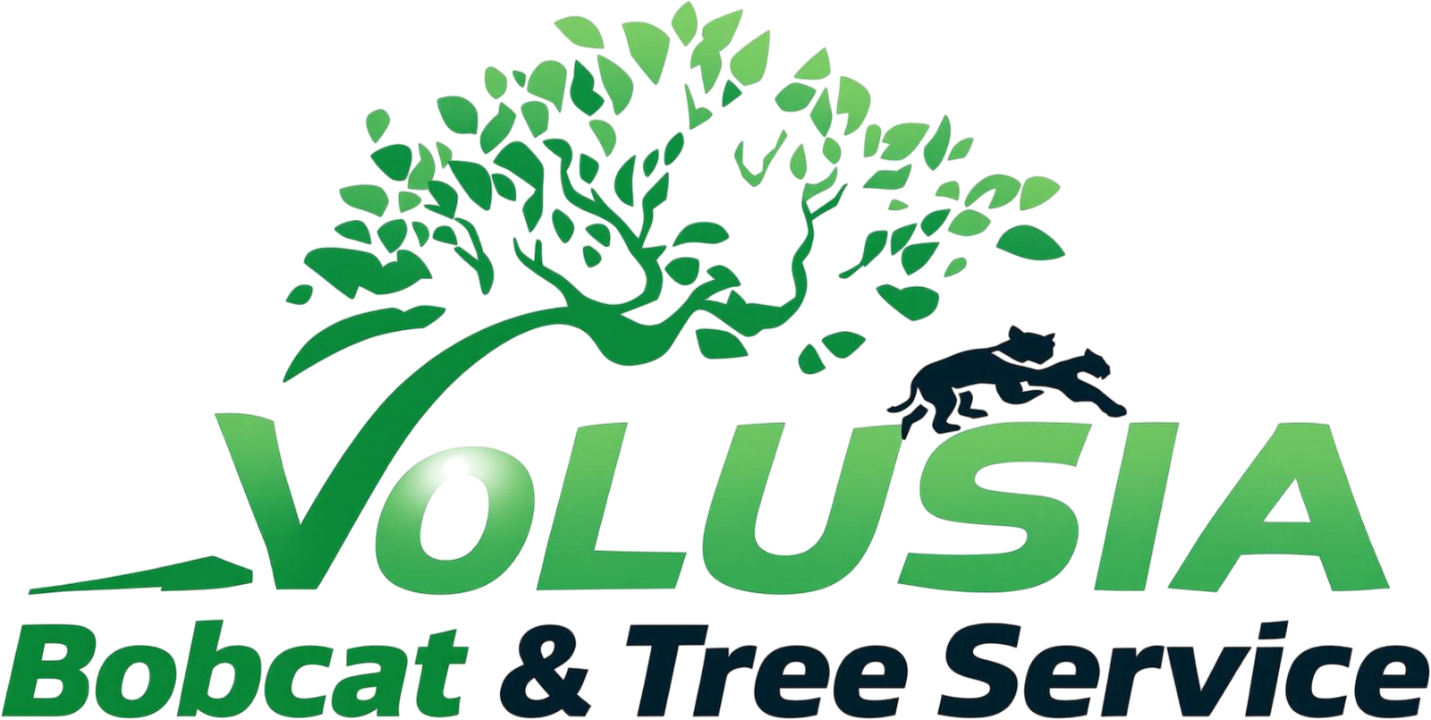 Volusia Bobcat & Tree Service | Affordable Tree Service Volusia
