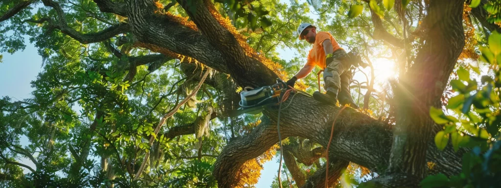 a dramatic composition of a professional tree removal expert safely dismantling a large, hazardous tree against the vibrant backdrop of deland’s lush landscapes, with the sun filtering through the leaves, highlighting the importance of tree safety and care in central florida.