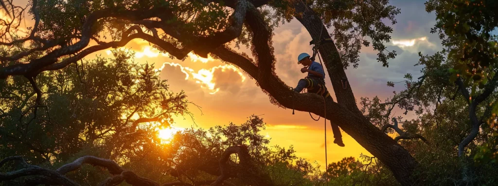 a professional tree removal service operates against a vibrant sunset in central florida, showcasing skilled workers carefully dismantling an overgrown oak tree while surrounded by lush greenery and blooming flora.