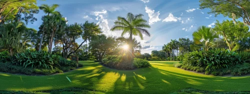 Why Customers Love Us: Volusia Bobcat Testimonials Unveiled