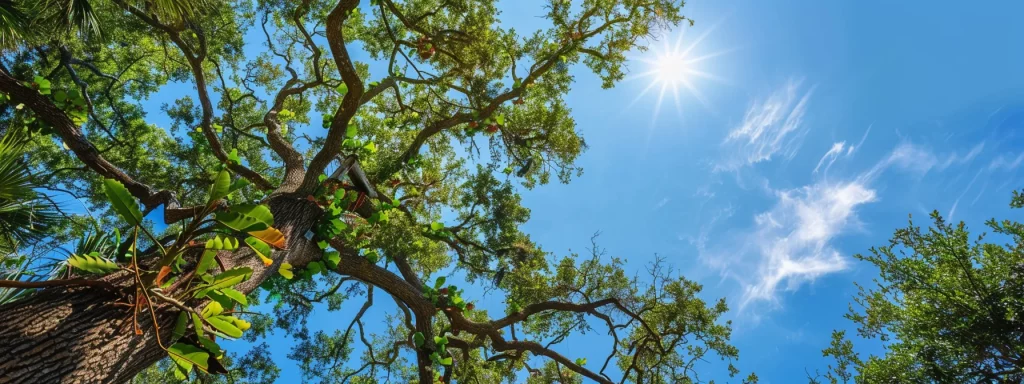 a vibrant landscape in central florida showcases a professional tree removal service expertly removing a large, overgrown tree while enhancing the safety and aesthetic appeal of a surrounding property under a bright blue sky.