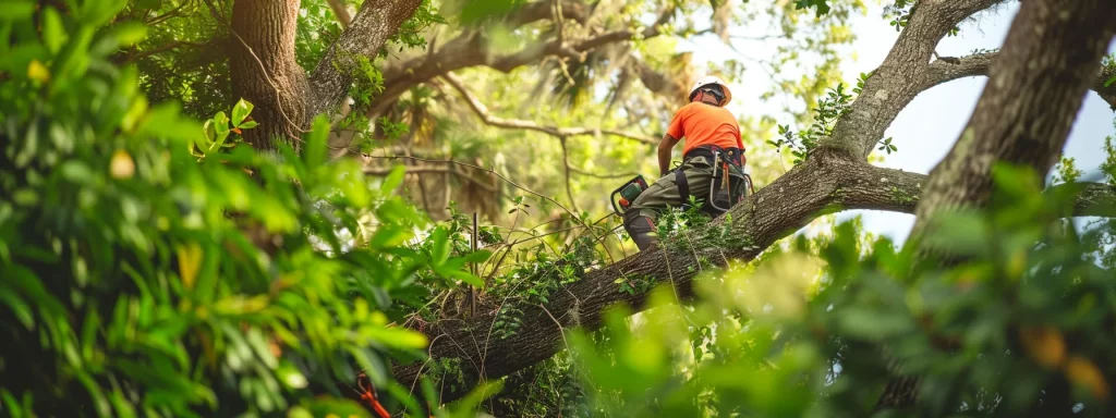 a vibrant scene of a professional arborist safely removing a tree in a lush central florida landscape, with abundant greenery and diverse flora thriving in the background, symbolizing the environmental benefits of eco-friendly tree removal practices.