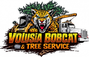 Volusia Bobcat & Tree Service