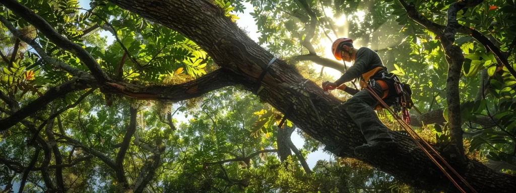 a skilled arborist expertly navigates a lofty tree in vibrant central florida, surrounded by lush green foliage and dappled sunlight filtering through the leaves.