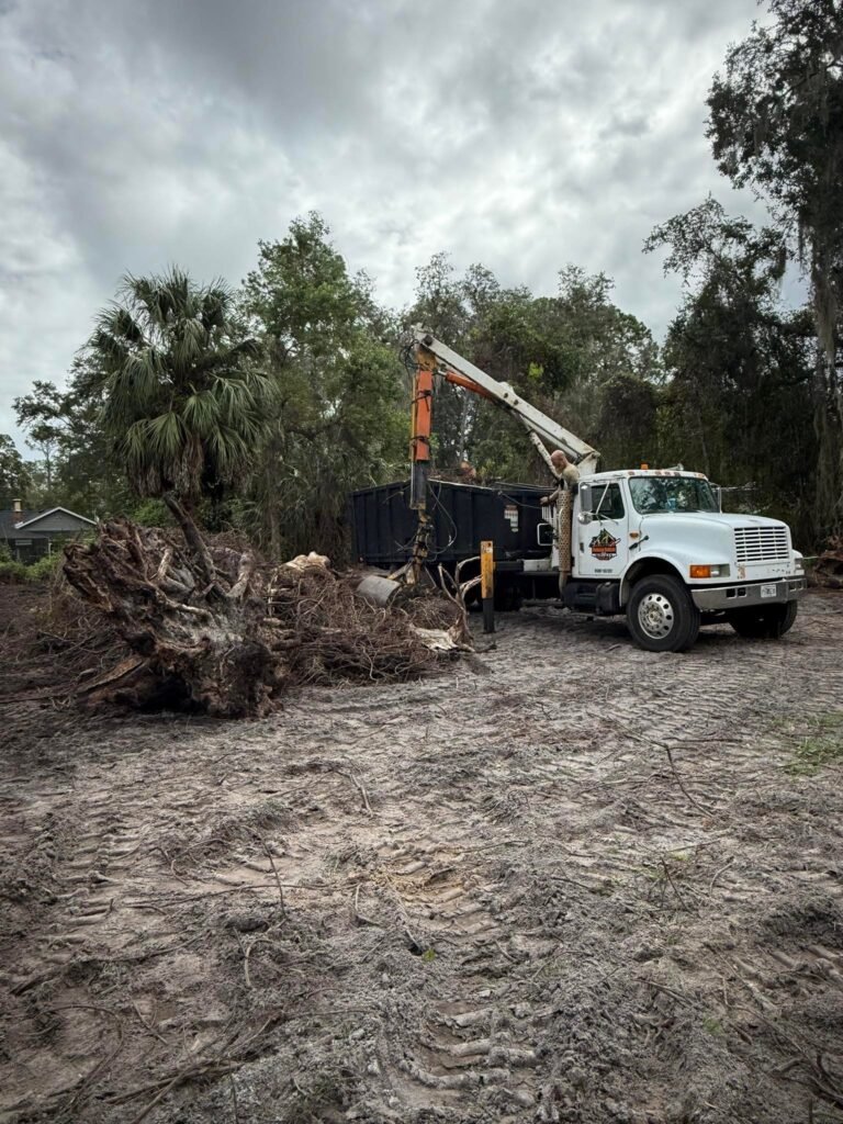 Tree removal truck with crane loading debris from land clearing site, surrounded by uprooted stumps and vegetation, showcasing Osteen Tree Service's land and lot clearing expertise.