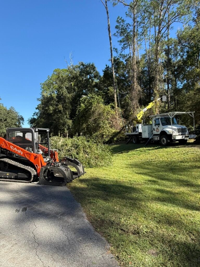 Kubota skid steer loader and tree service truck on a residential property in Central Florida, with tree limbs cleared and safety equipment visible, illustrating professional tree removal and trimming services.